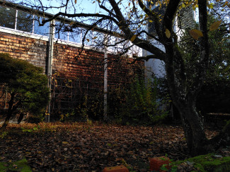 Herbstlicher Innenhof zwischen Pfarrhaus und Kirche